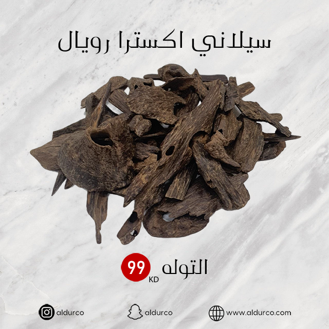 سيلاني اكسترا رويال