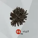 تراد الوزير 